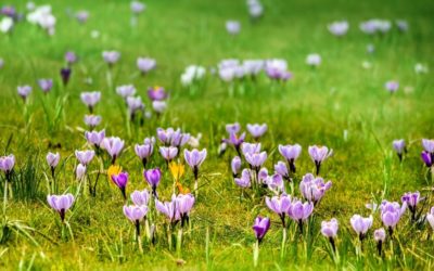 Samorząd uczniowski zaprasza na&nbsp;Powitanie Wiosny