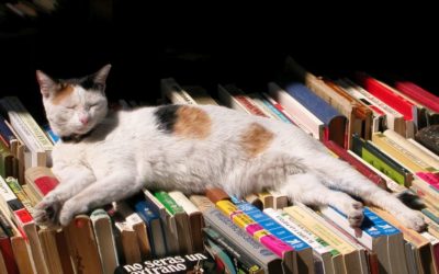 Zapraszamy na&nbsp;kiermasz książek w&nbsp;bibliotece