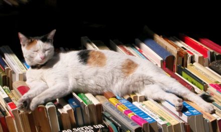 Mamy nowych czytelników