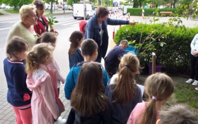 Projekt „ KLIMATYCZNA KLASA 1-3 ”