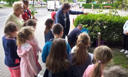 Projekt „ KLIMATYCZNA KLASA  1-3 ”