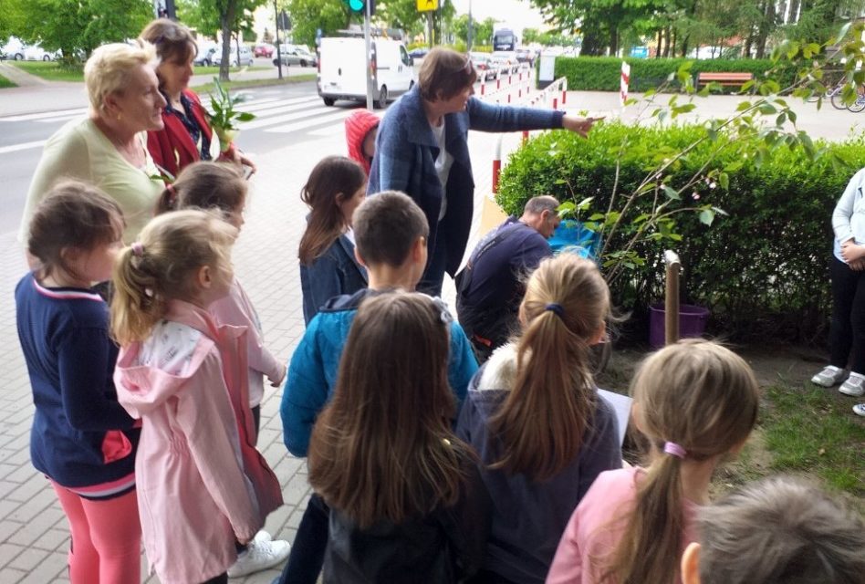 Projekt „ KLIMATYCZNA KLASA  1-3 ”