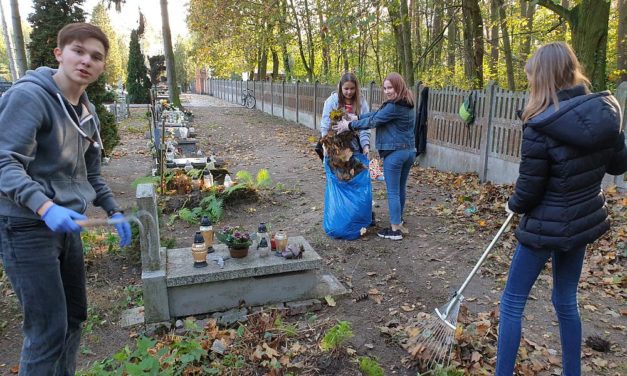 Szkolne Koło Caritas porządkuje zaniedbane groby