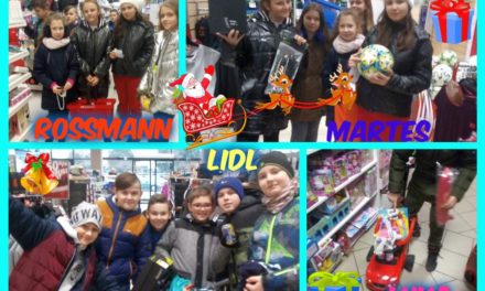 Terenowa gra językowa