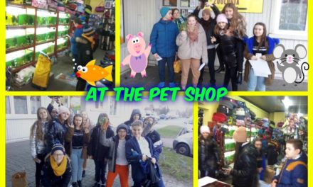 At the pet shop, czyli lekcja angielskiego w sklepie zoologicznym „Reksio”.