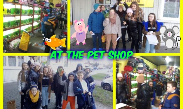 At the pet shop, czyli lekcja angielskiego w sklepie zoologicznym „Reksio”.