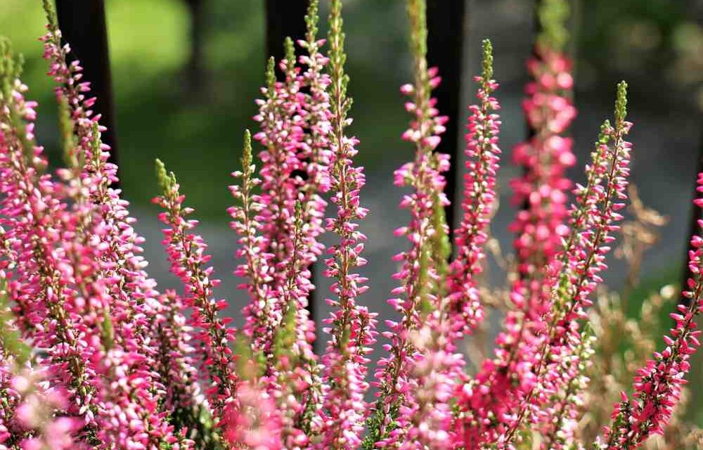 Życzenia Dyrektora Szkoły z okazji Dnia Edukacji Narodowej