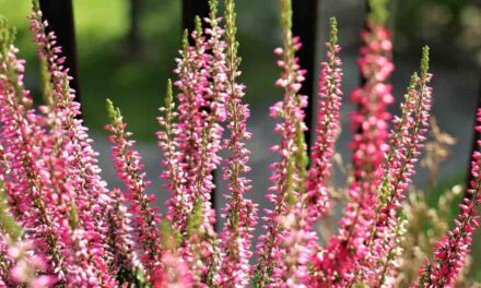 Życzenia Dyrektora Szkoły z okazji Dnia Edukacji Narodowej