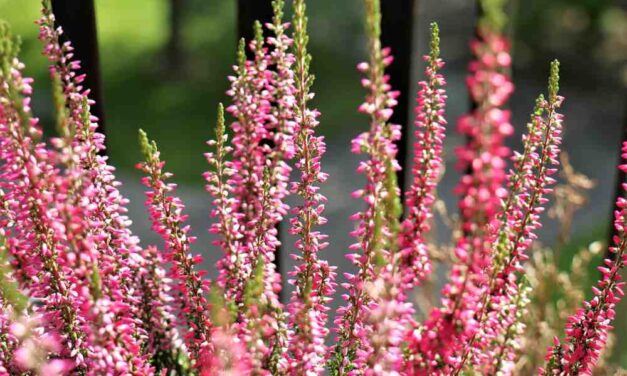 Życzenia Dyrektora Szkoły z okazji Dnia Edukacji Narodowej