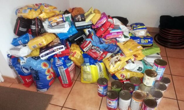 Akcja MEiN „Razem na Święta“ – zbiórka karmy dla zwierząt ze Schroniska w Katarzynowie