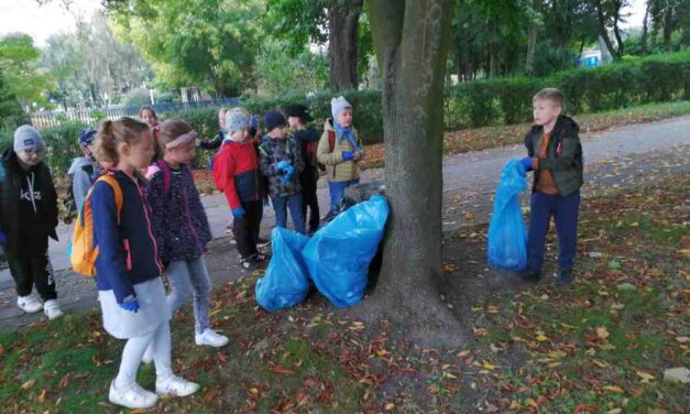 Sprzątająca Trójka. „Myślę, więc nie śmiecę”