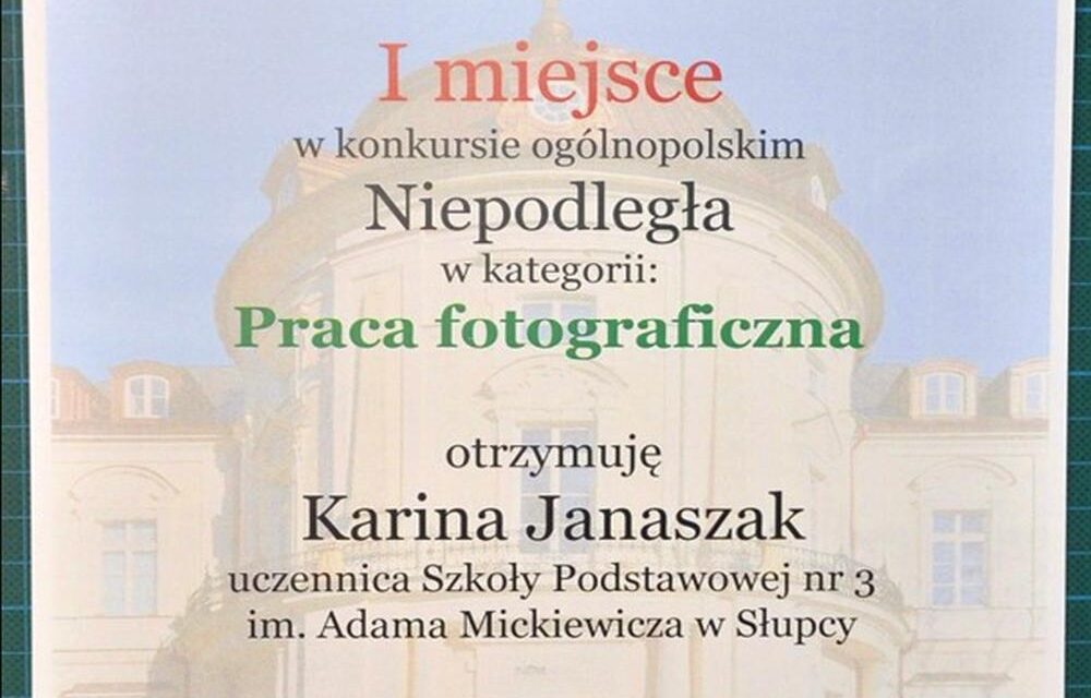 Moje spojrzenie na niepodległość