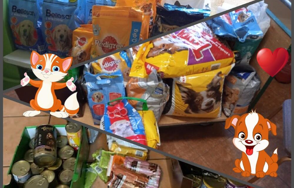 Do serca przytul psa, weź na kolana kota….