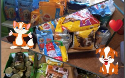 Do&nbsp;serca przytul psa, weź na&nbsp;kolana kota….