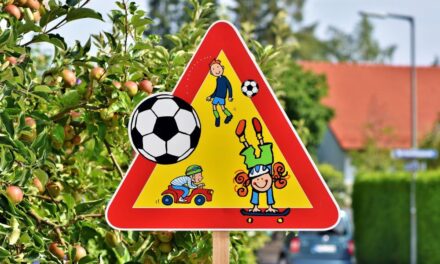 Projekt ,,Bezpieczeństwo ruchu drogowego”