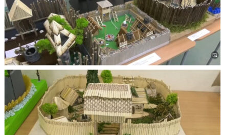 WYNIKI KONKURSU  – MAKIETA GRODU MIRMIŁA
