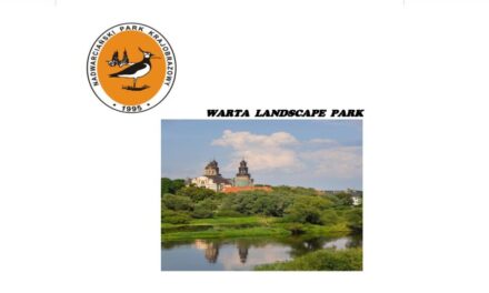 Wycieczka do Nadwarciańskiego Parku Krajobrazowego
