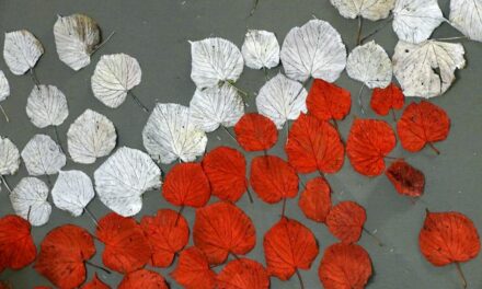 Życzenia na Święto Niepodległości – Побажання до Дня Незалежності