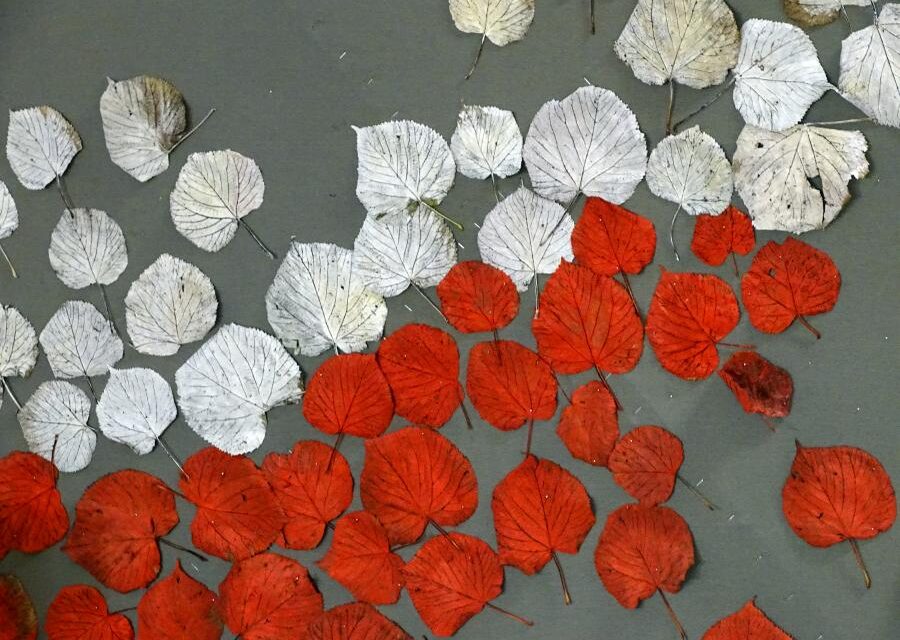 Życzenia na Święto Niepodległości – Побажання до Дня Незалежності