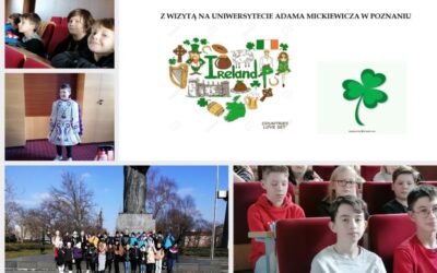 Tydzień Języków Obcych – z&nbsp;wizytą na&nbsp;UAM