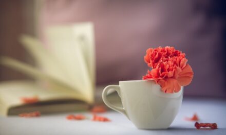 Światowy Dzień Książki i Praw Autorskich