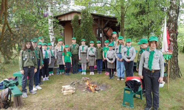 Obietnica zucha w gromadzie zuchowej „Leśne Ludki”