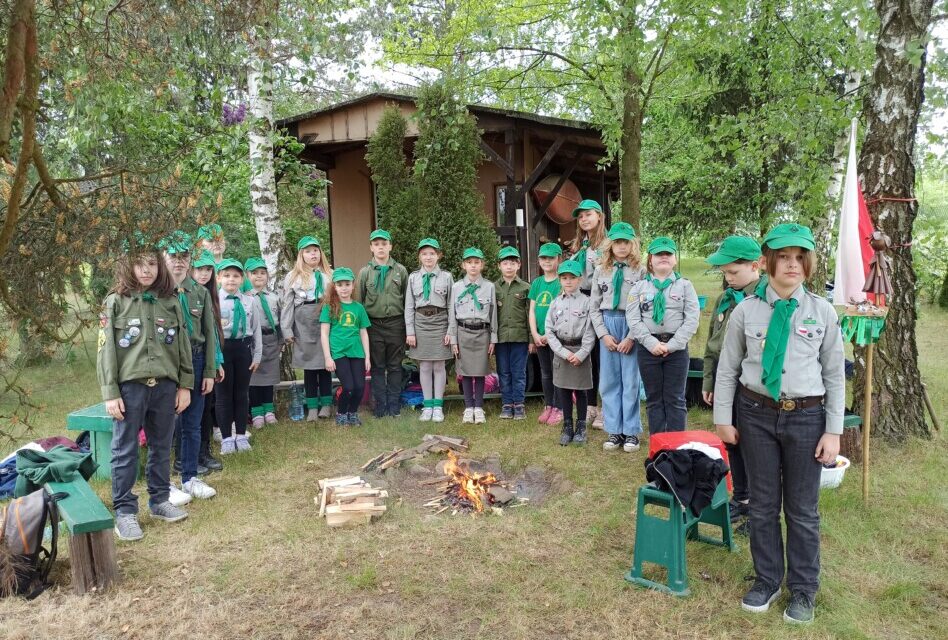 Obietnica zucha w gromadzie zuchowej „Leśne Ludki”