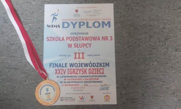 III MIEJSCE DLA SP 3 NA FINALE WOJEWÓLDZKIM W PILE 