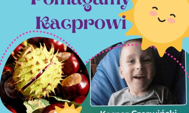 Zbiórka kasztanów oraz zbiórka odzieży używanej