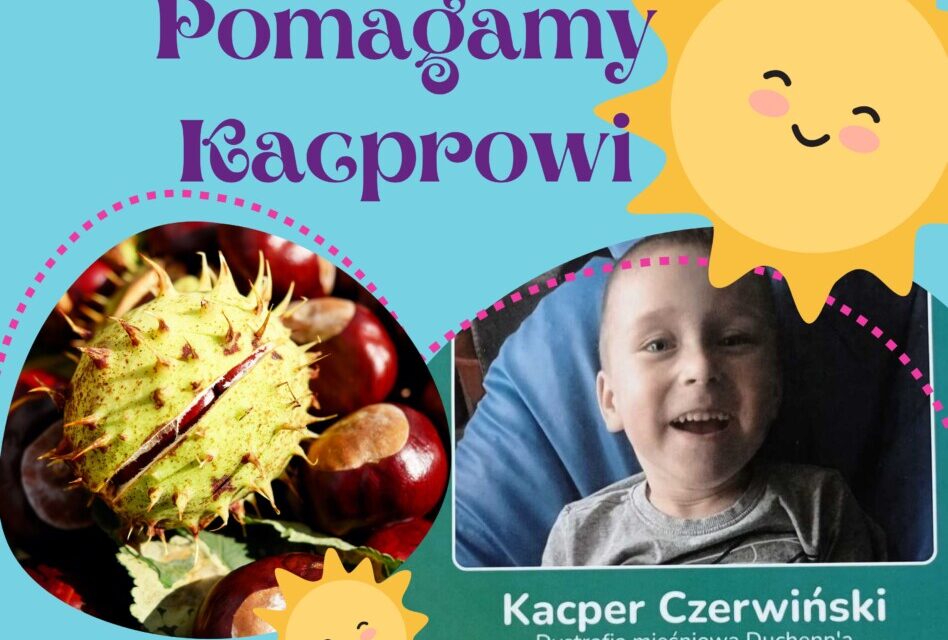 Zbiórka kasztanów oraz zbiórka odzieży używanej