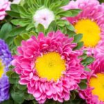 Życzenia Burmistrza Miasta Słupcy z okazji rozpoczęcia roku szkolnego 2025-2026