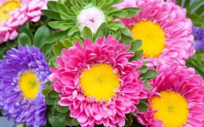 Życzenia Burmistrza Miasta Słupcy z&nbsp;okazji rozpoczęcia roku szkolnego 2025-2026