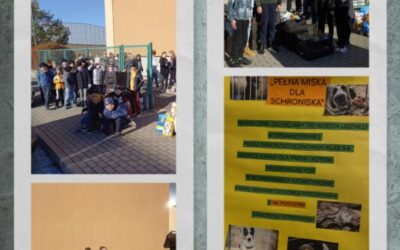 ,,Pełna miska dla schroniska” – podsumowanie szkolnej akcji zbiórki karmy 
