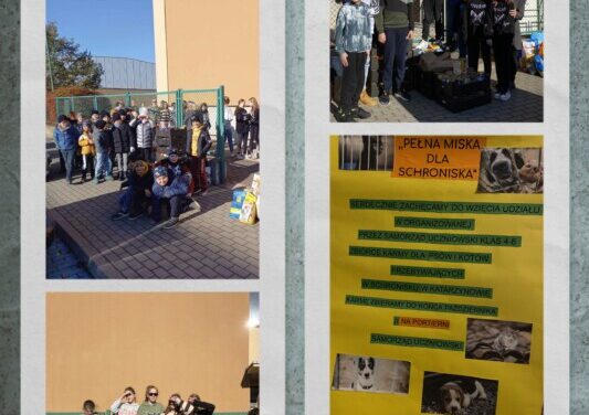 ,,Pełna miska dla schroniska” – podsumowanie szkolnej akcji zbiórki karmy 