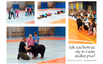 Szkolenie edukacyjno – profilaktyczne dla klas I-VIII