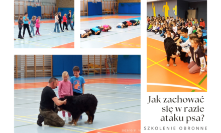 Szkolenie edukacyjno – profilaktyczne dla klas I-VIII