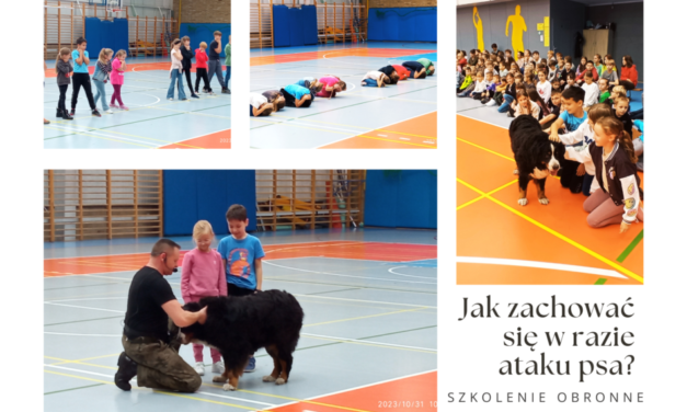 Szkolenie edukacyjno – profilaktyczne dla klas I-VIII