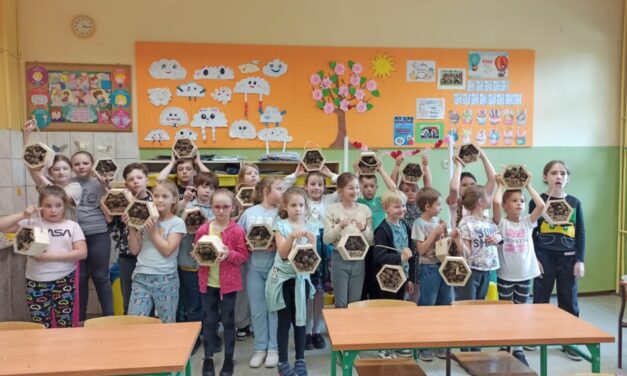 Zuchy z 3 GZ „Leśne Ludki” z firmą „Roby Wood lokalnie”wykonały domki dla owadów