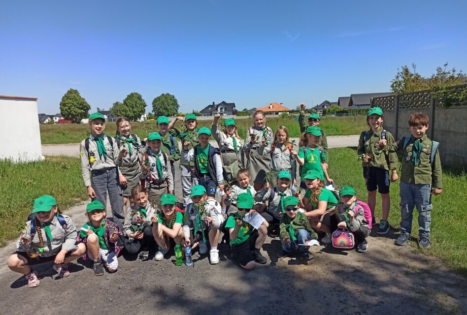 Obietnica zucha w gromadzie zuchowej „Leśne Ludki”