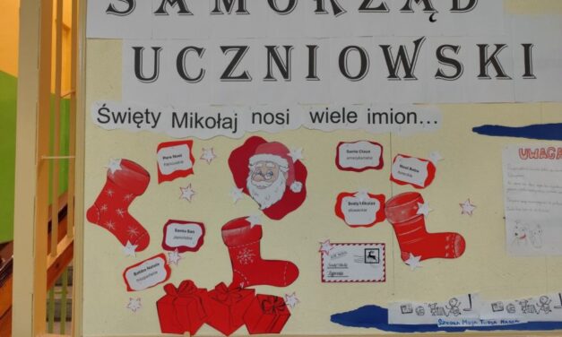 SU – sprawozdanie po pierwszym półroczu roku szkolnego  2024-2025