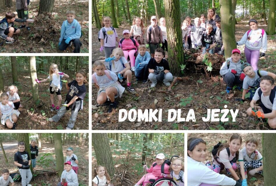 „Mali naukowcy- ciekawi świata”